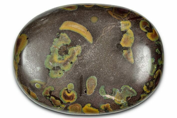 Polished Fruit Jasper Palm Stone - India #343185